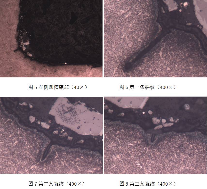 原材料化學成分.jpg