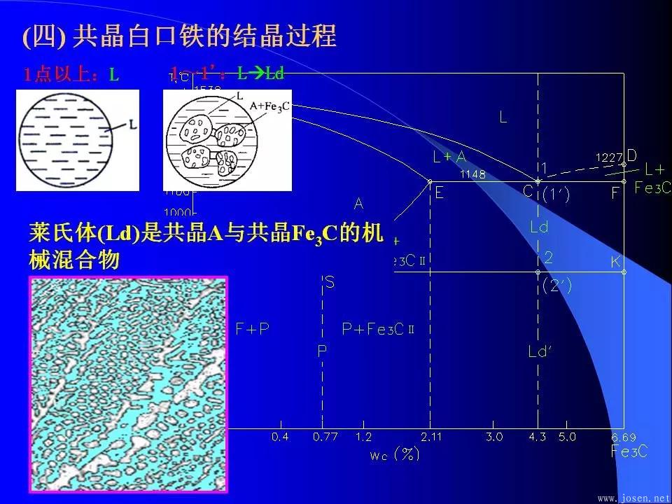 鐵碳合金相圖與結晶過程5.webp.jpg