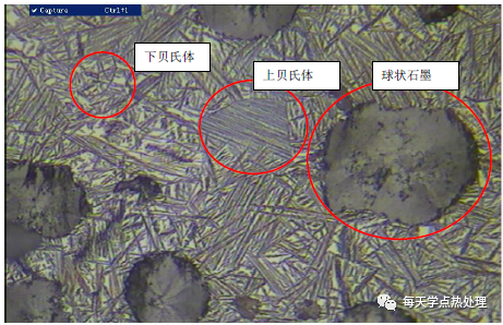 球墨鑄鐵 球狀＋片狀石墨 100×