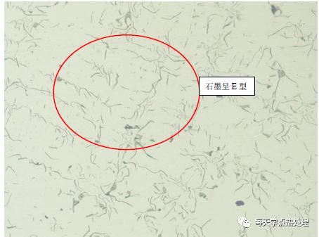 灰口鑄鐵 A+E 型石墨 100×