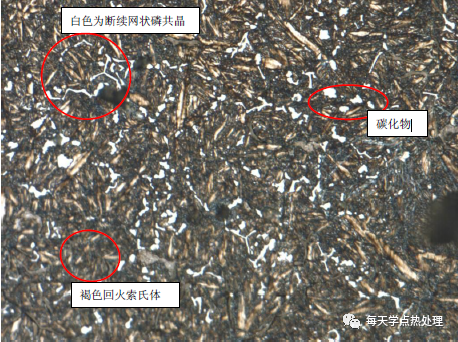 合金鑄鐵 基體為回火索氏體＋斷續網狀磷共晶＋碳化物 500×