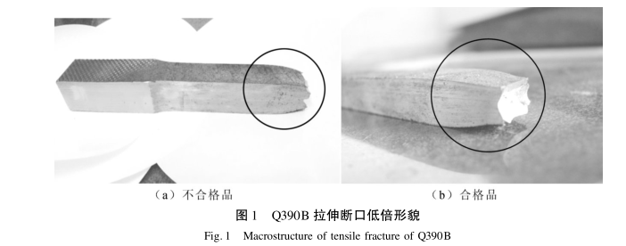 圖1-Q390B 拉伸斷口低倍形貌.png